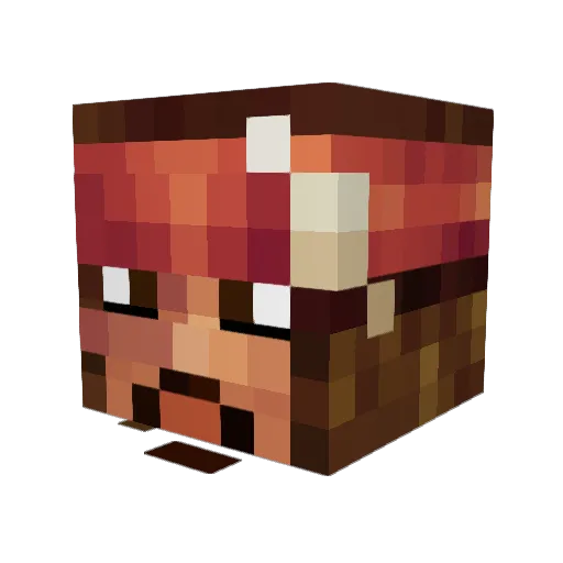 __ULY__ Minecraft avatar head, 3D render
