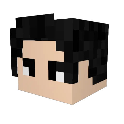 __VayN__ Minecraft avatar head, 3D render