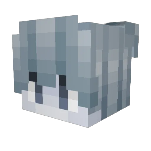 __Vizzy__ Minecraft avatar head, 3D render