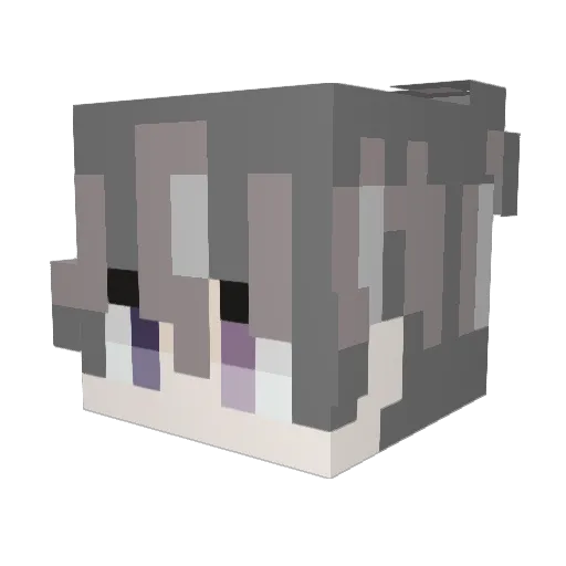 __Volem Minecraft avatar head, 3D render