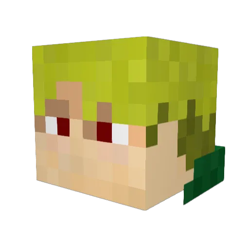 __Wasted_Fate__ Minecraft avatar head, 3D render