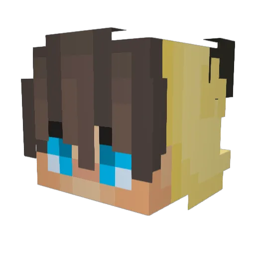 __Welation__ Minecraft avatar head, 3D render