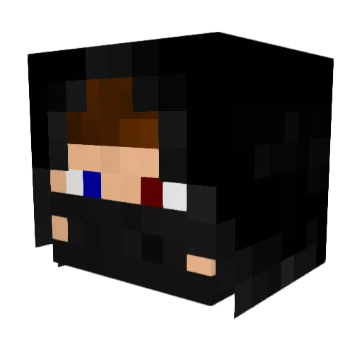 __WhiteFox_ Minecraft avatar head, 3D render