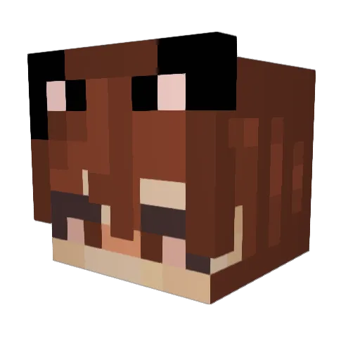 __XFinnX__ Minecraft avatar head, 3D render