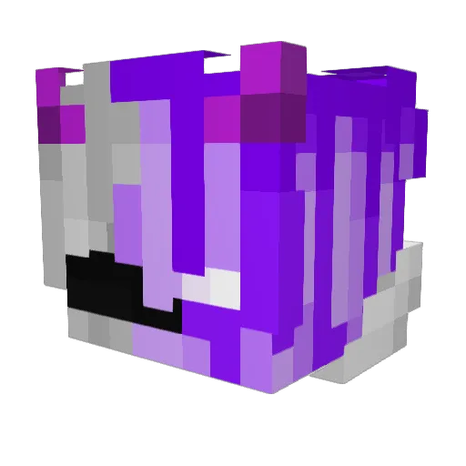 __YoShiNorI_ Minecraft avatar head, 3D render