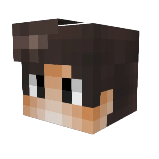 __ZUDOK__ Minecraft avatar head, 3D render