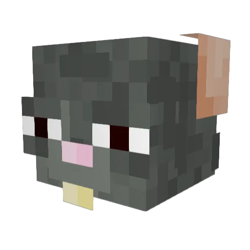__Zugzwang__ Minecraft avatar head, 3D render