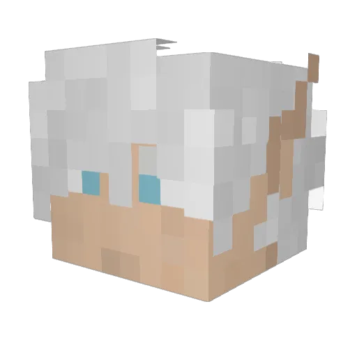 __Zuko Minecraft avatar head, 3D render