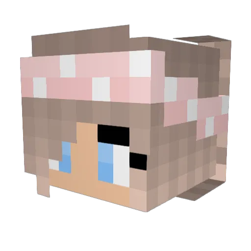 ___ALLY__ Minecraft avatar head, 3D render