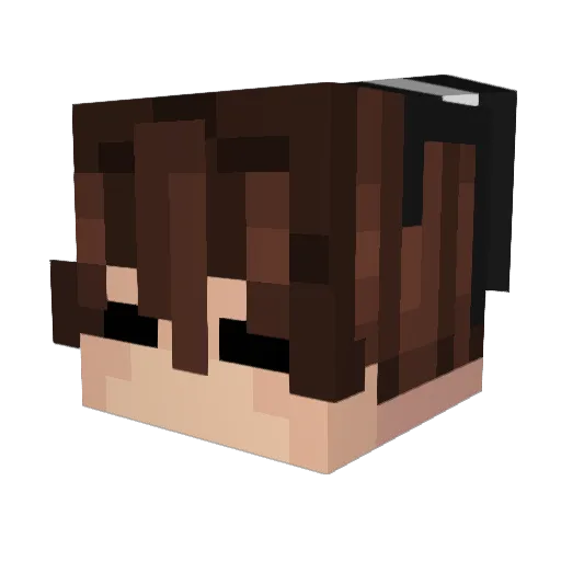 ___AL____ Minecraft avatar head, 3D render