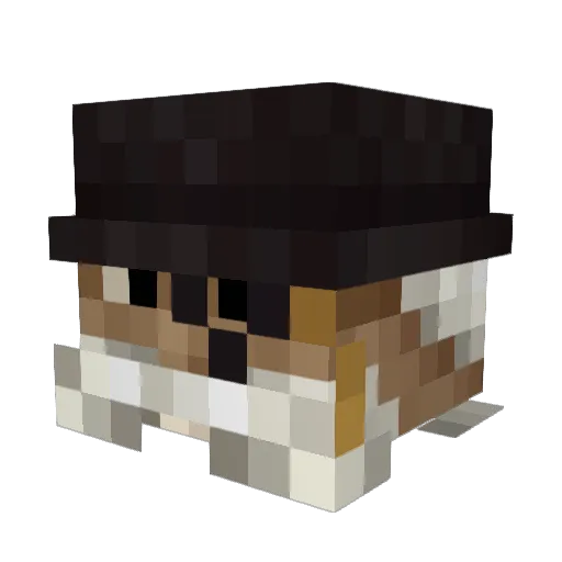 ___Alcatraz___ Minecraft avatar head, 3D render