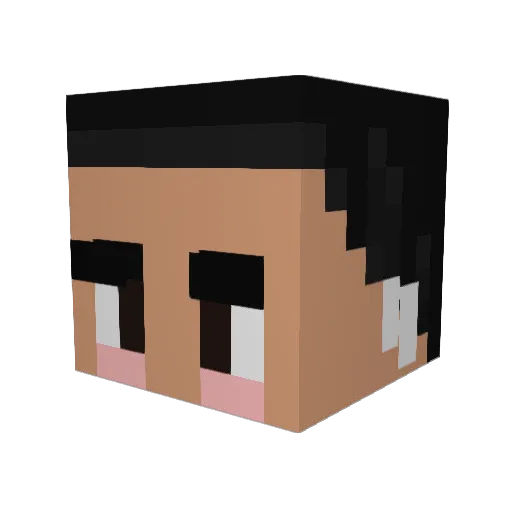 ___Arian Minecraft avatar head, 3D render