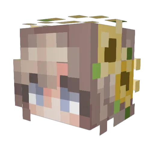 ___Cece___ Minecraft avatar head, 3D render