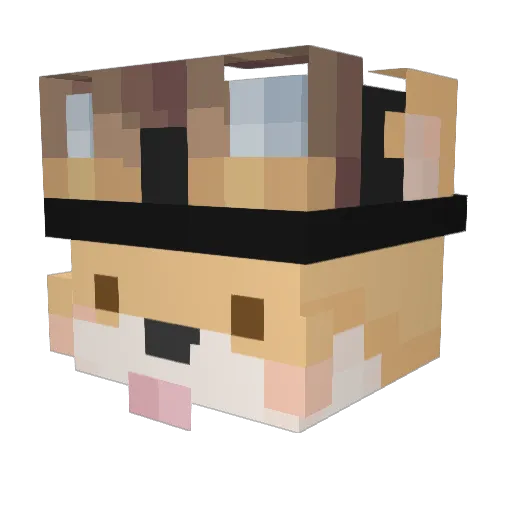 ___Dawn Minecraft avatar head, 3D render