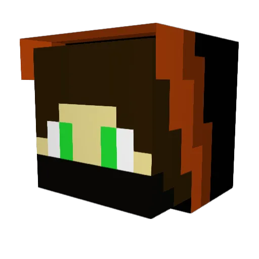 ___Destructor___ Minecraft avatar head, 3D render