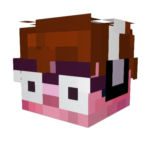 ___Doc__ Minecraft avatar head, 3D render