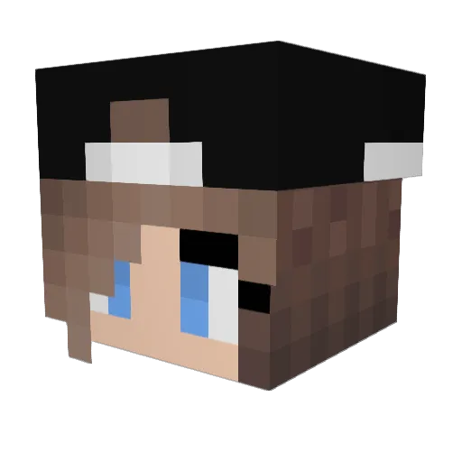 ___Ele___ Minecraft avatar head, 3D render