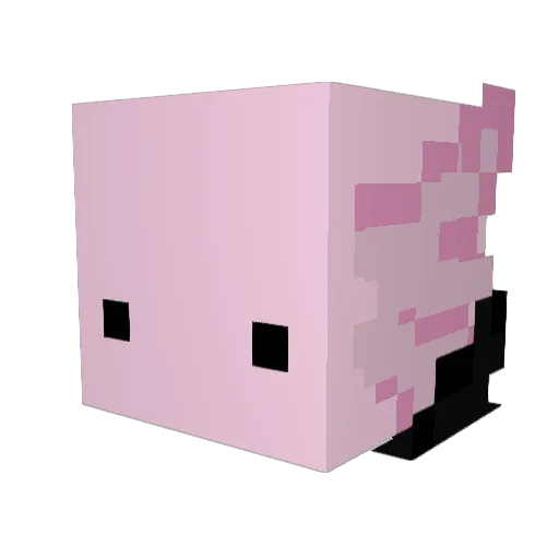 ___F1uxKitty Minecraft avatar head, 3D render