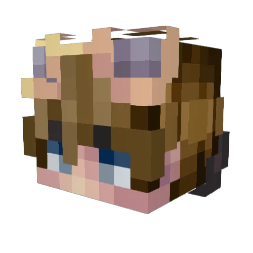 ___FLIP Minecraft avatar head, 3D render