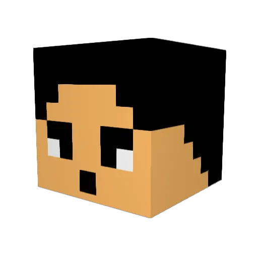 ___FLYAUBURN___ Minecraft avatar head, 3D render