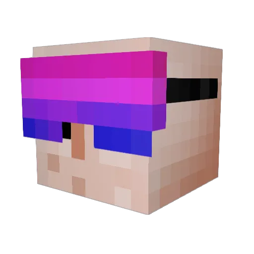 ___Floki___ Minecraft avatar head, 3D render