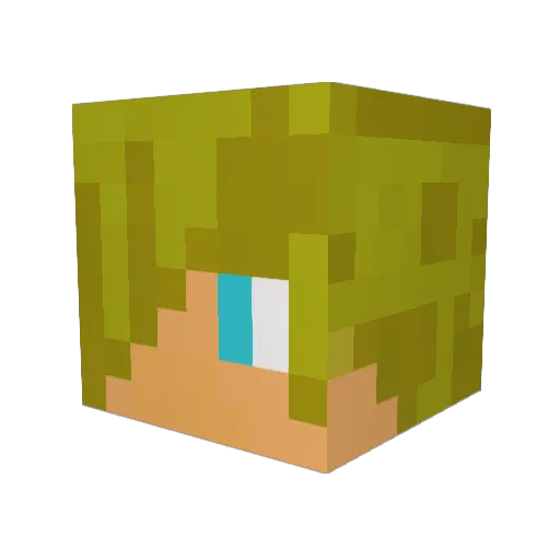 ___Hunter___ Minecraft avatar head, 3D render