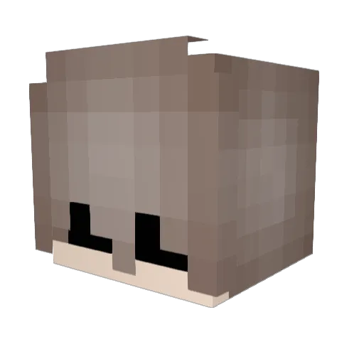 ___Jughead___ Minecraft avatar head, 3D render