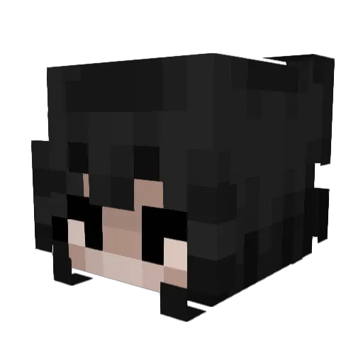 ___KDH03___ Minecraft avatar head, 3D render