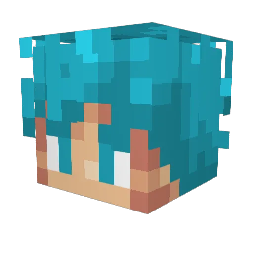 ___Kakarot___ Minecraft avatar head, 3D render