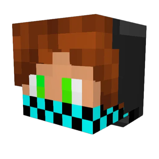 ___Kodi___ Minecraft avatar head, 3D render