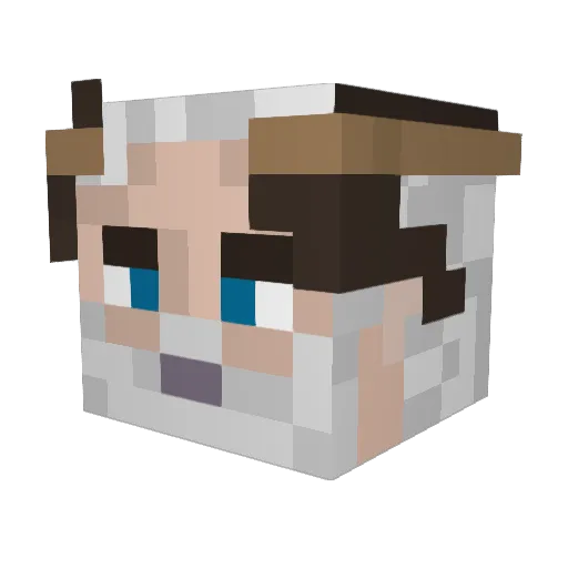 ___Maggus___ Minecraft avatar head, 3D render
