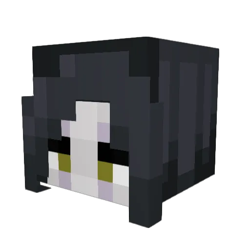 ___Mang0___ Minecraft avatar head, 3D render