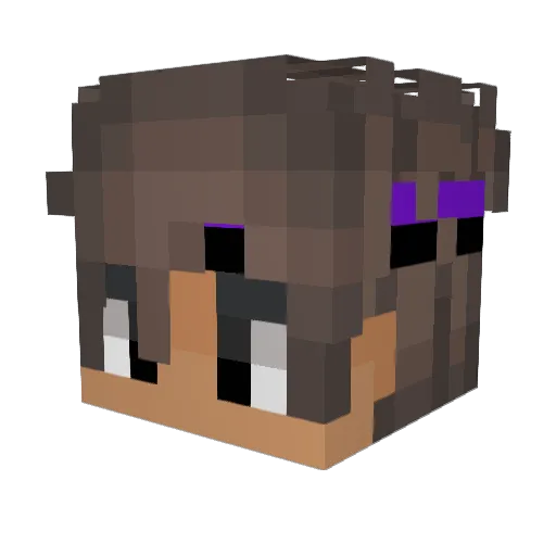 ___NIEznajomy___ Minecraft avatar head, 3D render