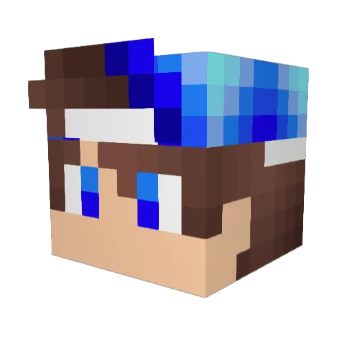 ___Nikson____ Minecraft avatar head, 3D render
