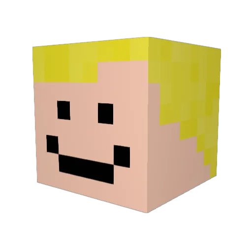 ___Nin___ Minecraft avatar head, 3D render