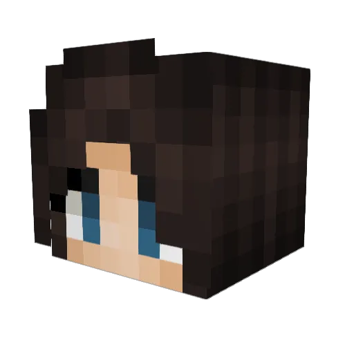 ___NitroX___ Minecraft avatar head, 3D render