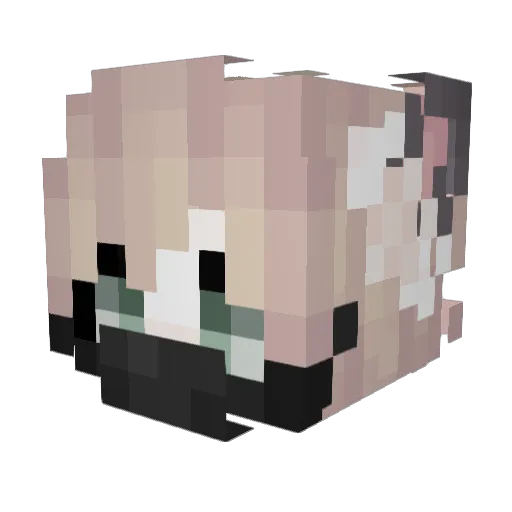 ___NoAH___ Minecraft avatar head, 3D render