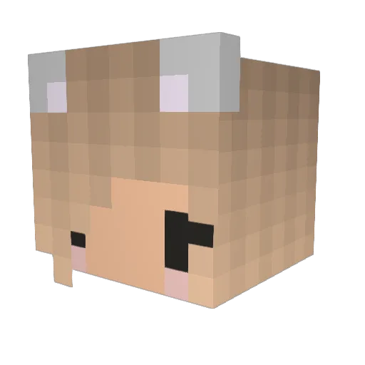 ___Nutella___ Minecraft avatar head, 3D render