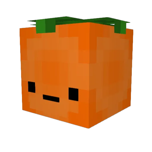 ___O3O___ Minecraft avatar head, 3D render