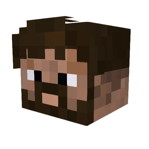 ___Quinn Minecraft avatar head, 3D render