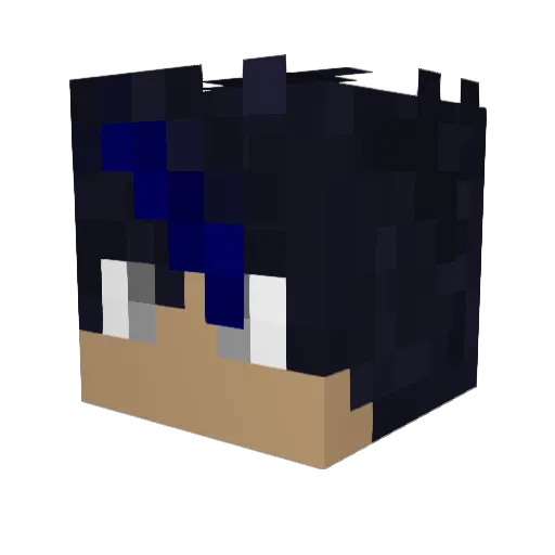 ___Reese___ Minecraft avatar head, 3D render