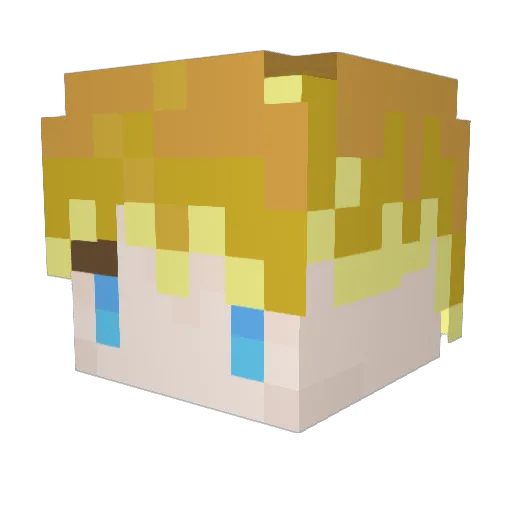 ___Reggie___ Minecraft avatar head, 3D render