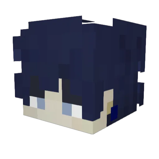 ___Rein___ Minecraft avatar head, 3D render