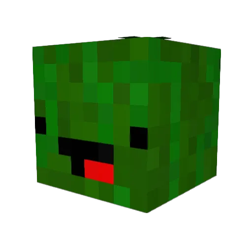 ___Rok___ Minecraft avatar head, 3D render
