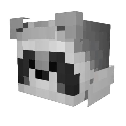 ___SN0T Minecraft avatar head, 3D render