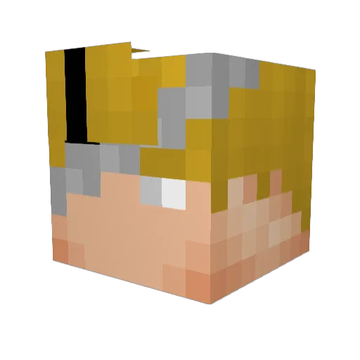 ___S___ Minecraft avatar head, 3D render
