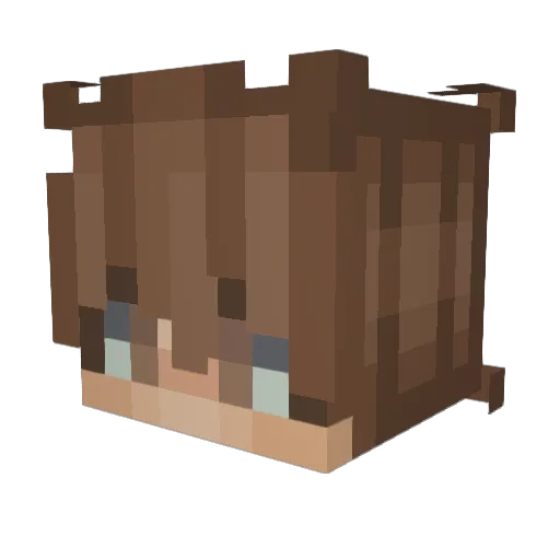 ___Sakuta___ Minecraft avatar head, 3D render