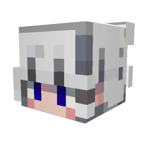 ___Sleepless___ Minecraft avatar head, 3D render