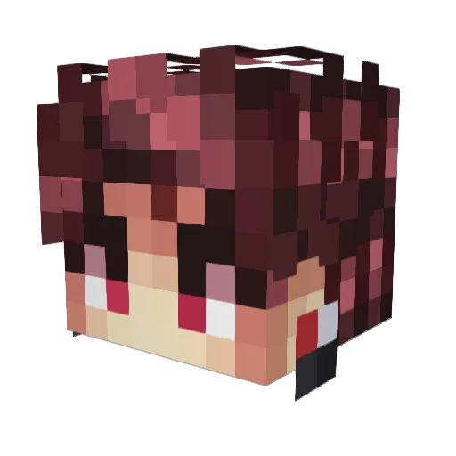 ___TOTO_ Minecraft avatar head, 3D render