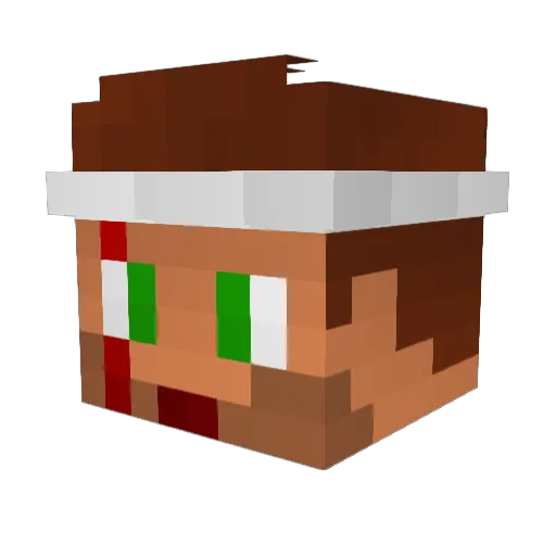 ___T_N_T___ Minecraft avatar head, 3D render